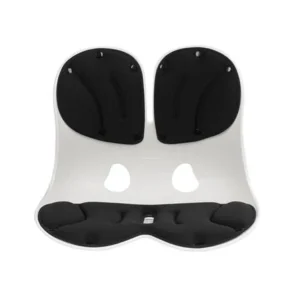 เบาะรองหลัง HOME LIVING STYLE ERGONO 17x13.5 นิ้ว สีดำ